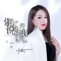 你说你养我 (DJ默涵版)