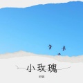 泰瑞 - 我在昨天的梦里又看见了你