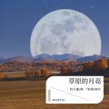 炑羊潘Panda、熊二7R钟芹 - 草原的月亮