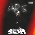 4EVA REMAINING SOLID (Explicit)