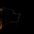 МАКСИ ГРИН、Marf - Девочка-абьюзер