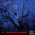 Le Voleur de Diamant (feat. Eva Marchal)