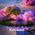 Floyymenor - Tussi code molly (Explicit)