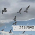刘一伊 - 不要忘记我爱你