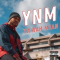 YNM (Explicit)