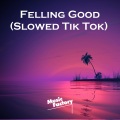 Music Factory - Felling Good (Slowed Tik Tok)(Remix)