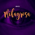Lipa DJ - Milagrosa (Sped Up)(Remix)