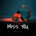 Lipa DJ - Miss You