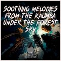 Kalimba Music Relaxation - Kalimba - My Time