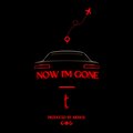 Terry（欧美） - Now I'm Gone (Explicit)