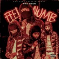 Feel Numb (Explicit)