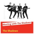 The Shadows - Theme from Man of Mistery