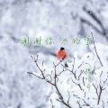 谢谢你冬的雪 (DJ版)