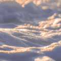 挪挪Noh、曾雪祁 - 想变成一切美好的事物