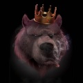 BEAR KINGJR - crazy (Explicit)