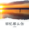 江传宗 - 回忆那么伤