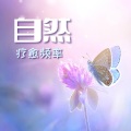 森林歌曲、自然生活、山和水 - 流水声