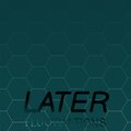 Later Fluctuations