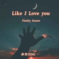 Like I Love you (Funky house)