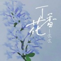 丁香花 (DJ大金版)