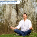Relaxing Music Ambience For Better Mood, Vol. 01