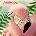 Flamingos - Gameboy