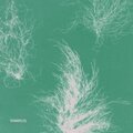 oliver walker、Oliver Jay - Lies You Told (Explicit)