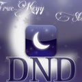 TrueKeyy、Status - DND (Explicit)