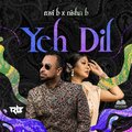ravi b、Nisha B - Mehendi Ka Ranngg (Karma Version)