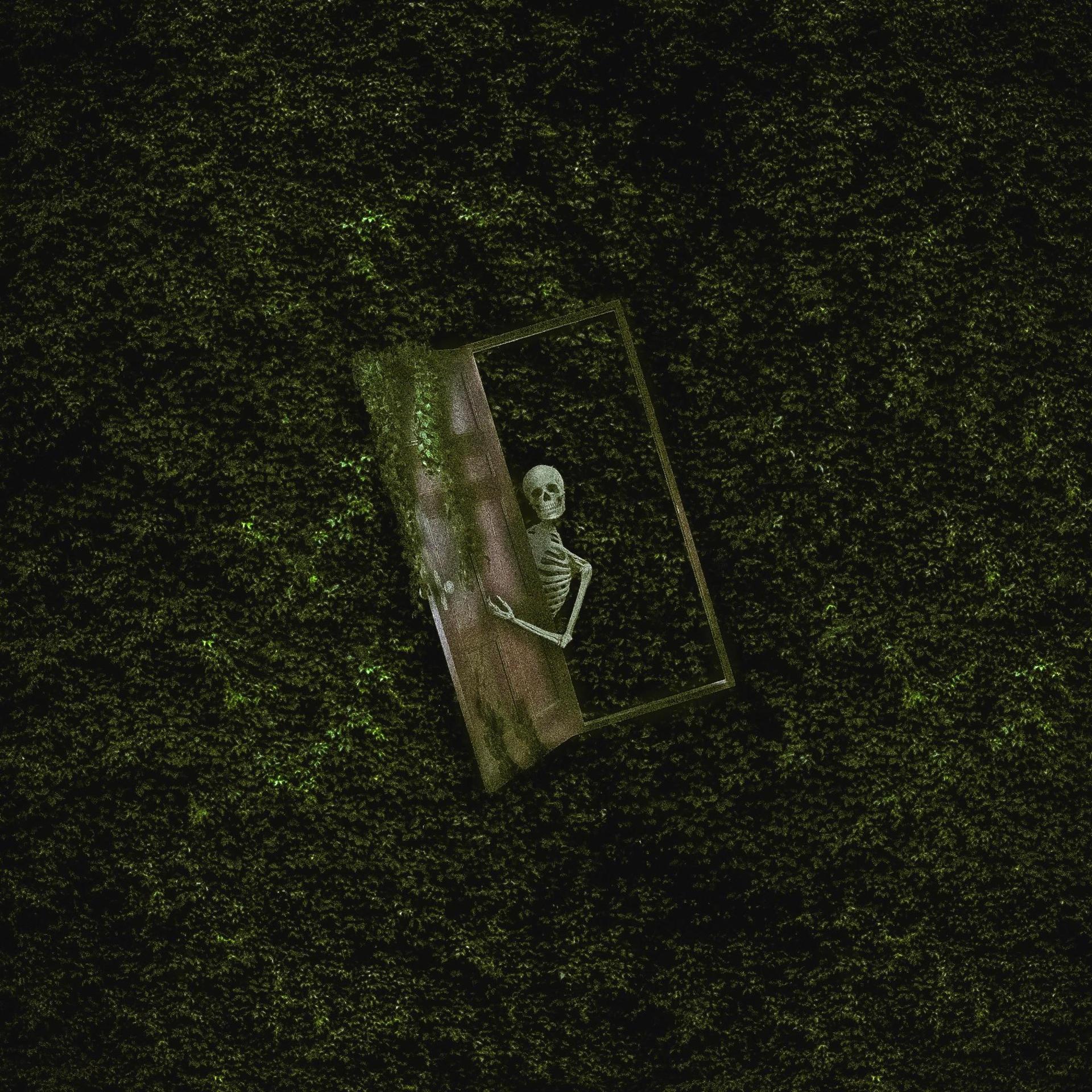 okay troy、grantdakidd - skeletons