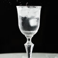 Gin & Tonic