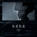 沈嘉豪 - 东北东北 (Live)