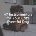 Music For Cats、Cats Music Zone、Music For Cats Peace - Kitty Cat Dreams Calming Ambient Music for Your Cat, Pt. 8