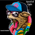 Garnett、Paradox - Speed of Light (feat. PARADOX)