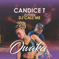 Candice T、DJ Call Me - Owaka