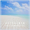 乐正柯羽 - 息もできない