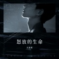 沈嘉豪 - 怒放的生命