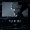 沈嘉豪 - 许多年以后