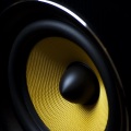 Take my Bass