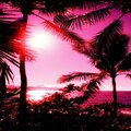 Derek Alexander Waring - Summer Solitude