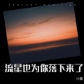 小茄砸 - 流星也为你落下来了