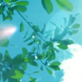 MH时光音悦榜 - 爱他就要大声说出来