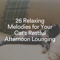26 Relaxing Melodies for Your Cat's Restful Afternoon Lounging