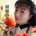雪影 - 明知你不会来