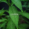 Siente El Clima、Etiqueta de la naturaleza、Sonidos De Truenos y Lluvia - Lluvia Acogedora
