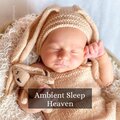 Liquid Ambiance - Path Of Chill Out