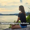 Winnie Johnson - Aroma Diffusers Meditation