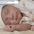 Relaxing Tunes For Babies Night, Vol. 01