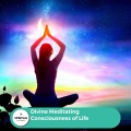 Daisy Gibbs - Spiritual Peace