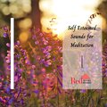 Pretty Mitchell - Meditation And Study